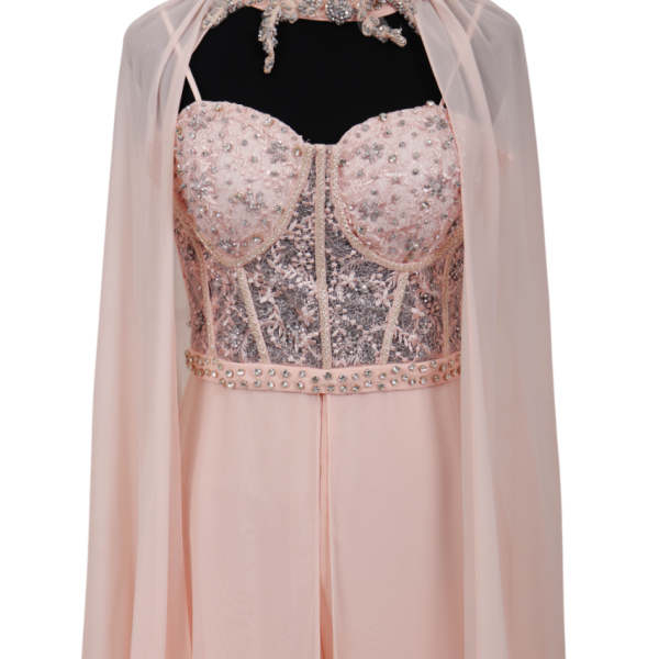 IMG_0067-Photoroom IMG_0067-Photoroom